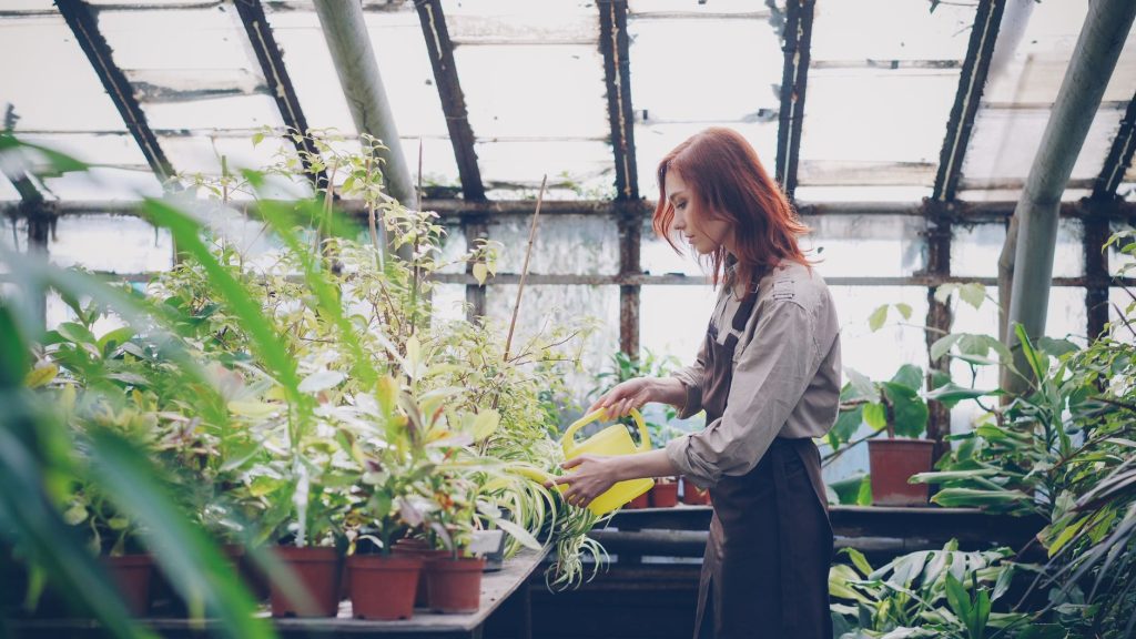 How Businesses Can Grow Without Making Their Operations Unnecessarily Complicated